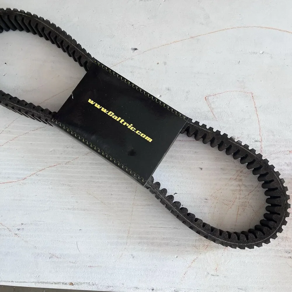 Caltric Drive Belt BT124